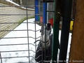 foto05