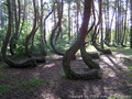 foto02
