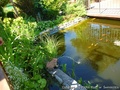 foto02