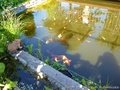 foto03