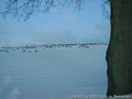 foto05