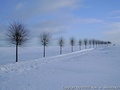 foto06