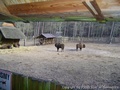foto01