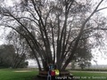foto06