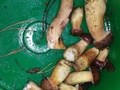 foto04