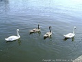 foto04