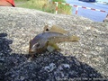 foto06