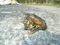 foto02