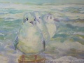 foto05
