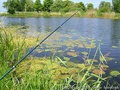 foto03